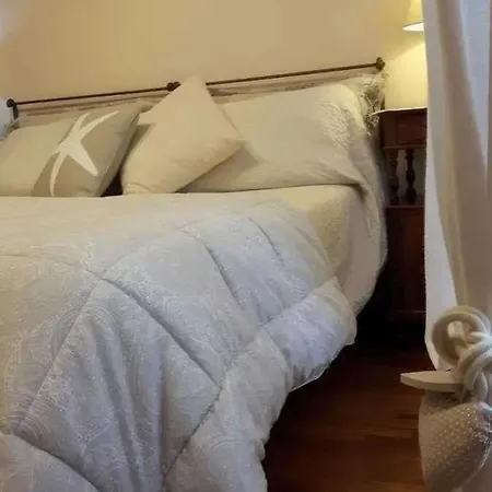 Il Gelsomino D'oro *